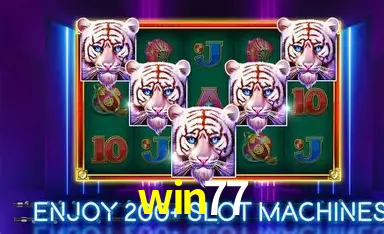 win77: A Experiência de Casino com Jogos de Mesa ao Vivo